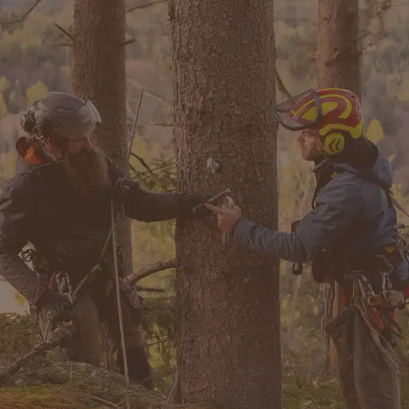 Alsace Aventure Construction